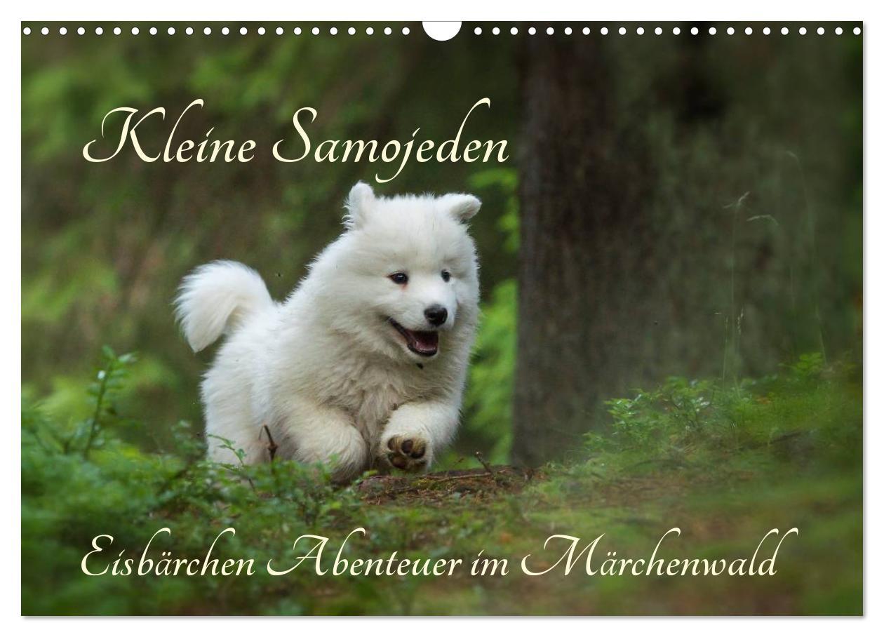 Cover: 9783435586691 | Kleine Samojeden - Eisbärchen Abenteuer im Märchenwald...