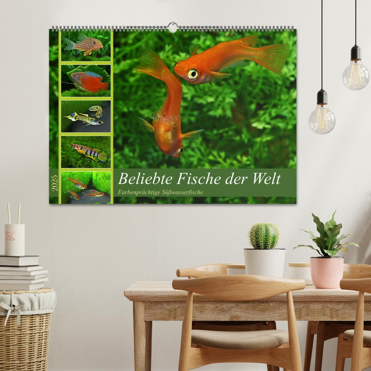 Bild: 9783383905957 | Beliebte Fische der Welt (Wandkalender 2025 DIN A2 quer), CALVENDO...