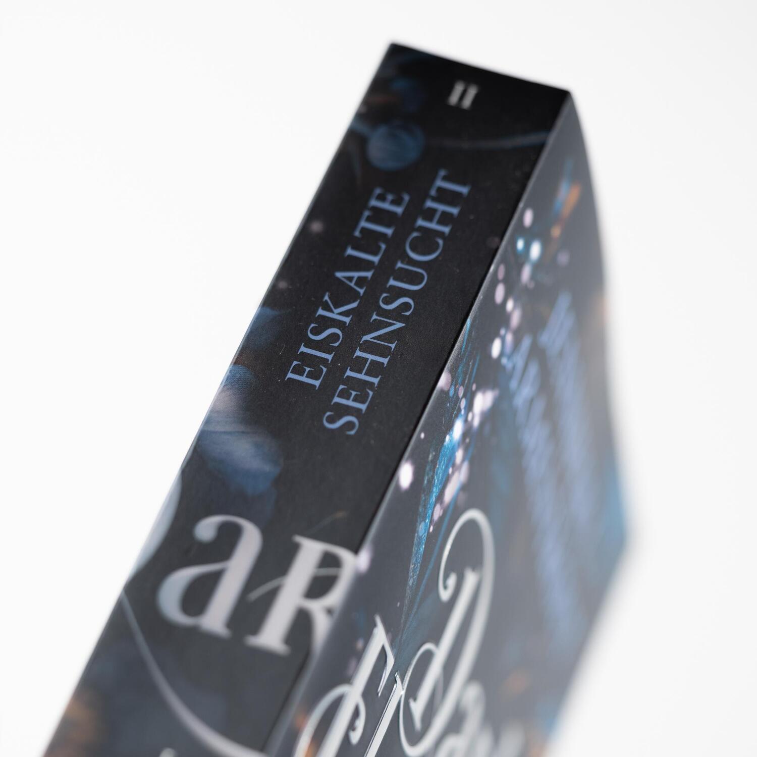 Bild: 9783365004715 | Dark Elements 2 - Eiskalte Sehnsucht | Jennifer L. Armentrout | Buch