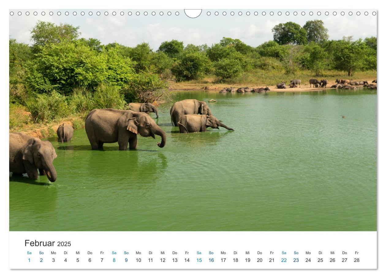 Bild: 9783435150366 | Traumziel Sri Lanka (Wandkalender 2025 DIN A3 quer), CALVENDO...