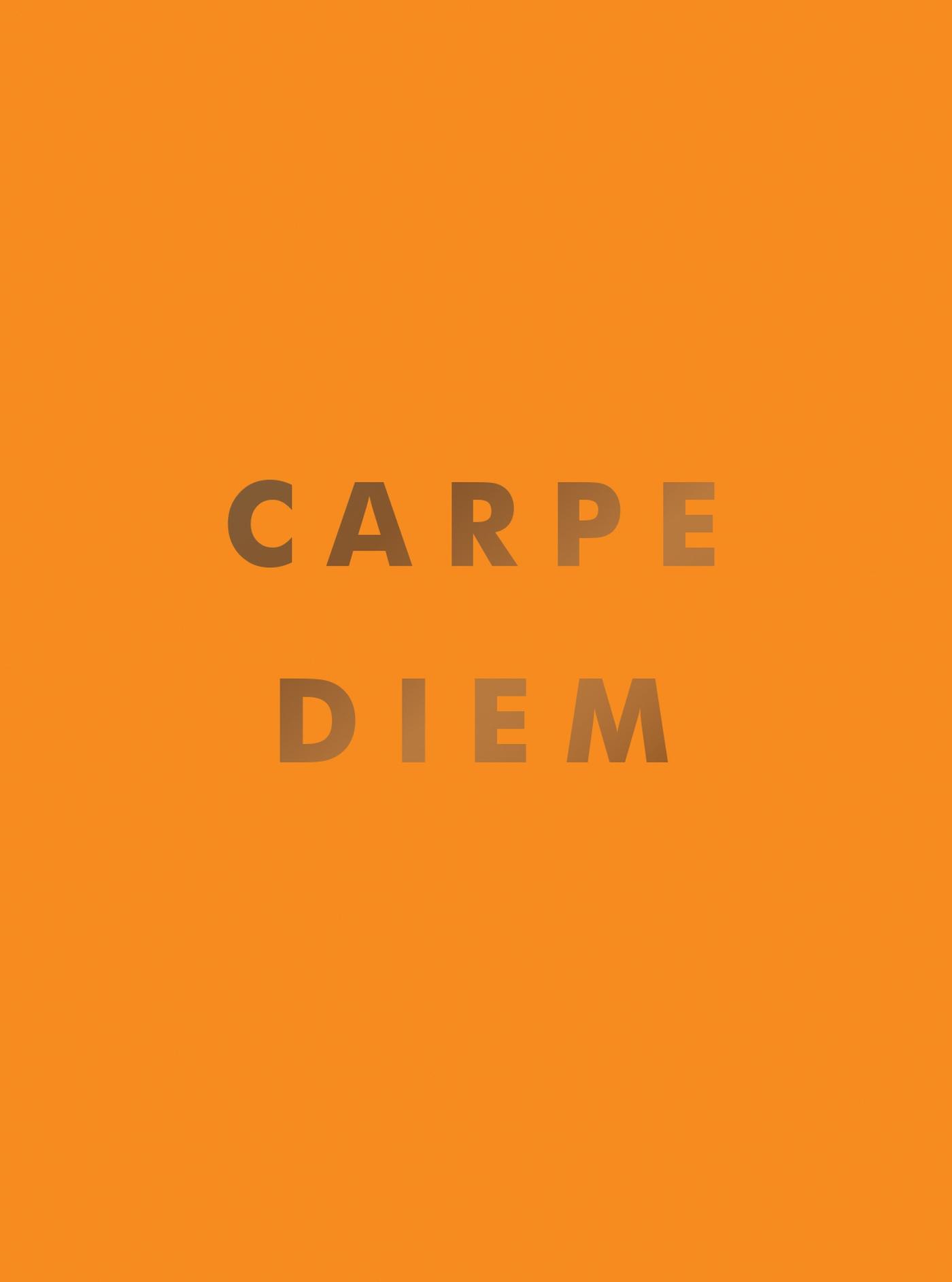 Cover: 9781800071865 | Carpe Diem | Summersdale | Buch | Gebunden | Englisch | 2022