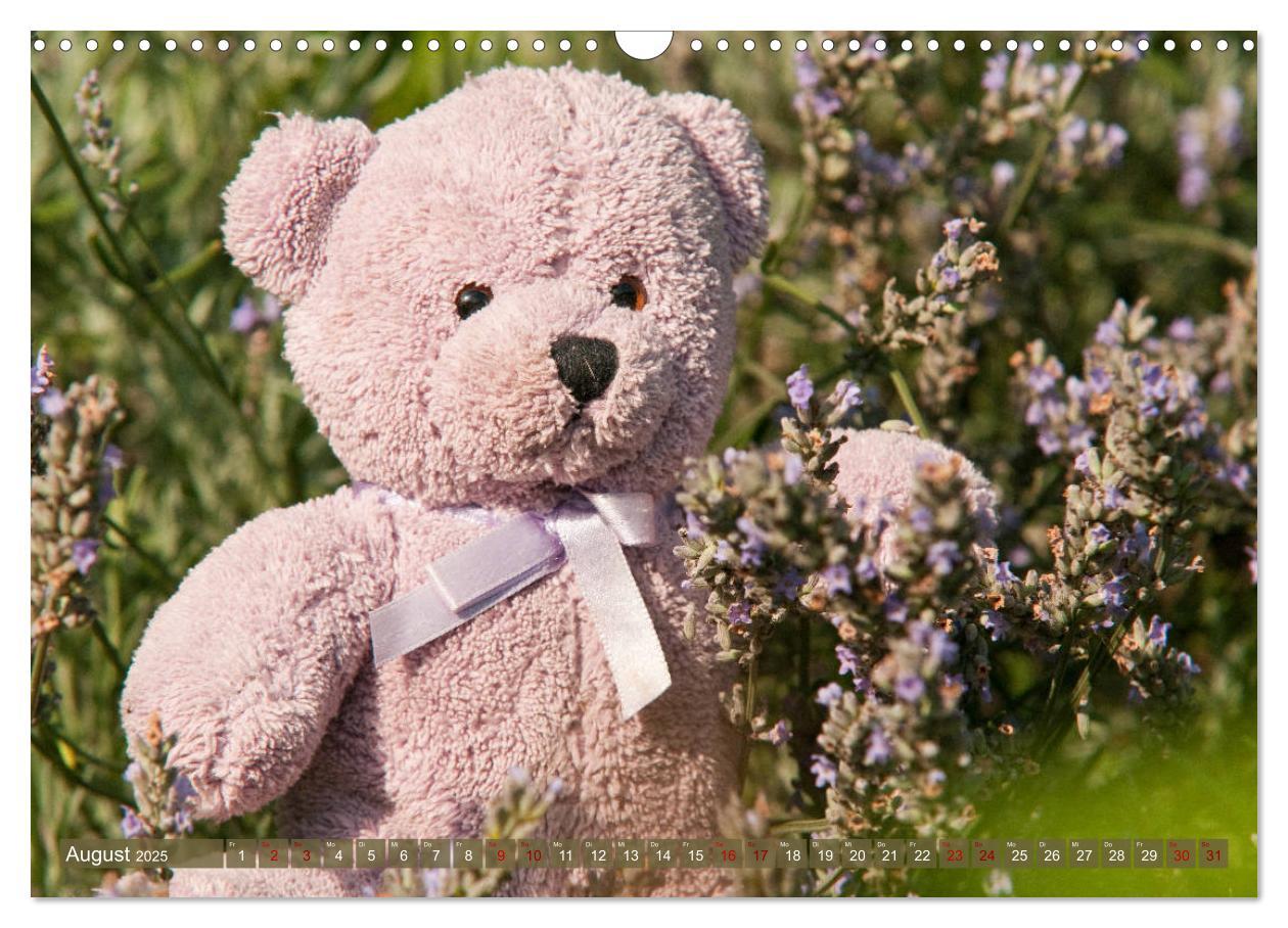 Bild: 9783435411832 | Kunterbunte Bärenwelt - Teddys (Wandkalender 2025 DIN A3 quer),...