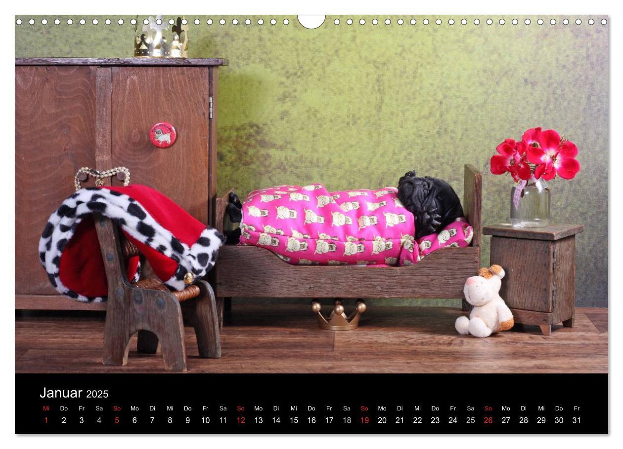 Bild: 9783435770557 | Der MOPS-Kalender (Wandkalender 2025 DIN A3 quer), CALVENDO...