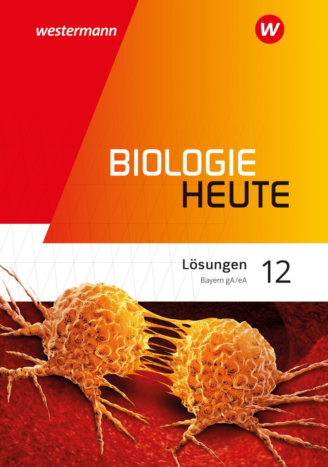 Cover: 9783141520361 | Biologie heute SII 12. Lösungen. Ausgabe Bayern | Taschenbuch | 228 S.