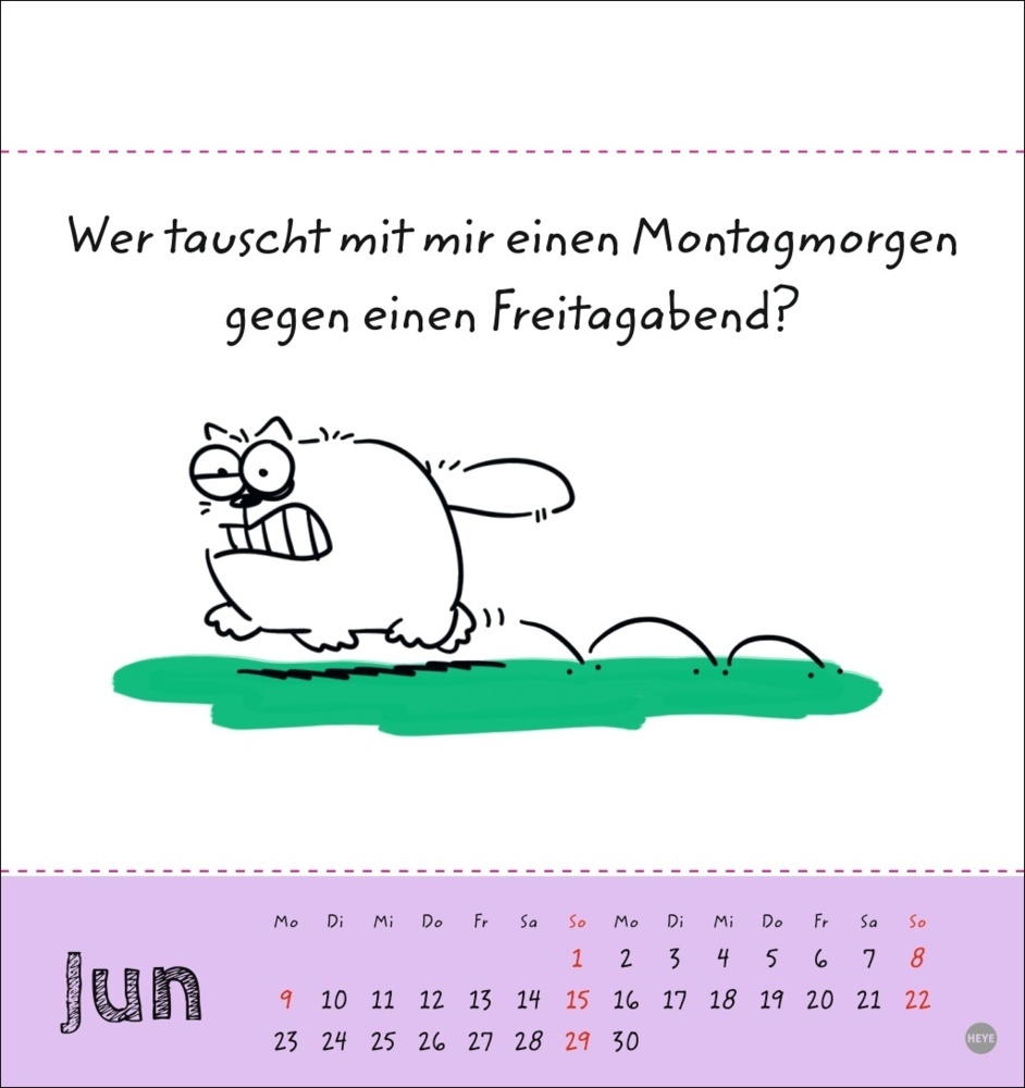 Bild: 9783756406951 | Catzz Postkartenkalender 2025 | Alexander Holzach | Kalender | 13 S.