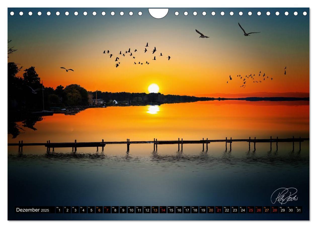 Bild: 9783435744268 | Am Steinhuder Meer (Wandkalender 2025 DIN A4 quer), CALVENDO...