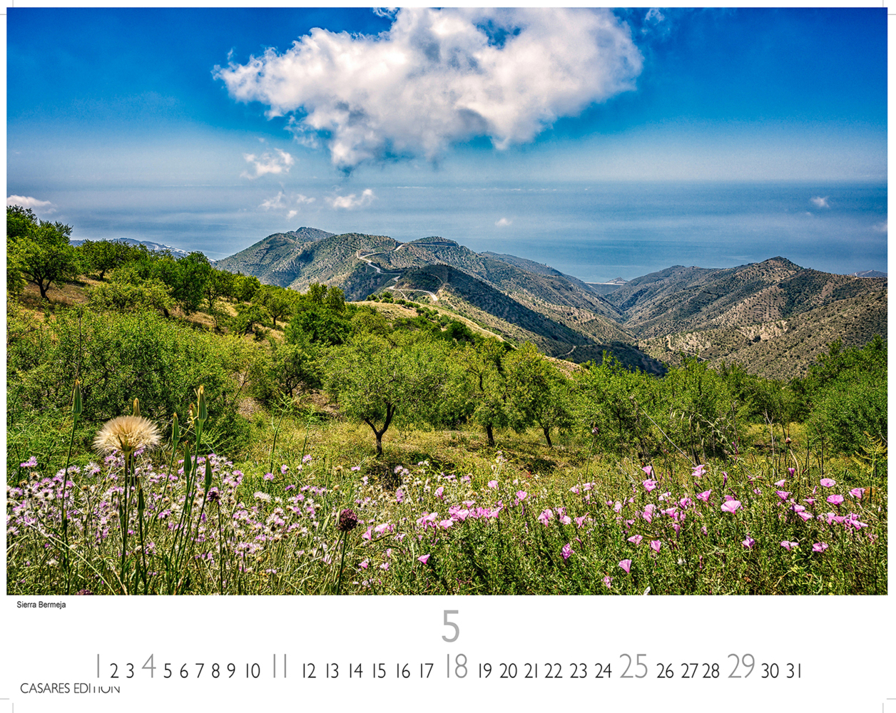 Bild: 9781835240304 | Andalusien 2025 L 35x50cm | Kalender | 14 S. | Deutsch | 2025