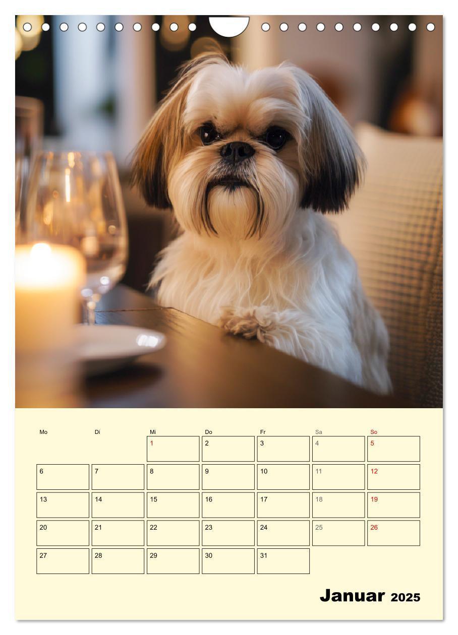 Bild: 9783435869749 | Shih Tzu Alarm. Glückliche Wuschelköpfe (Wandkalender 2025 DIN A4...