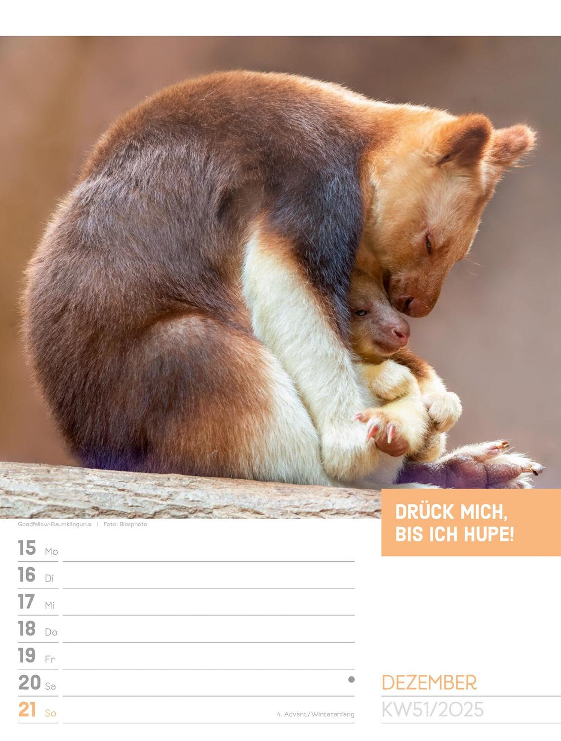 Bild: 9783838425962 | Tierisch! Sprüchekalender - Wochenplaner Kalender 2025 | Kunstverlag