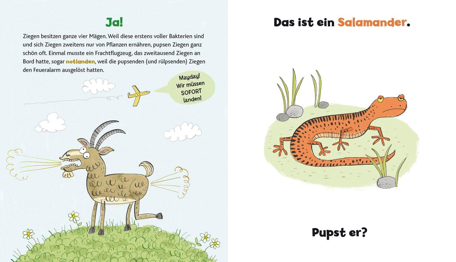 Bild: 9783737357036 | Wer hat hier gepupst? | Das ultimativ-tierische Pupsbuch | Buch | 2020