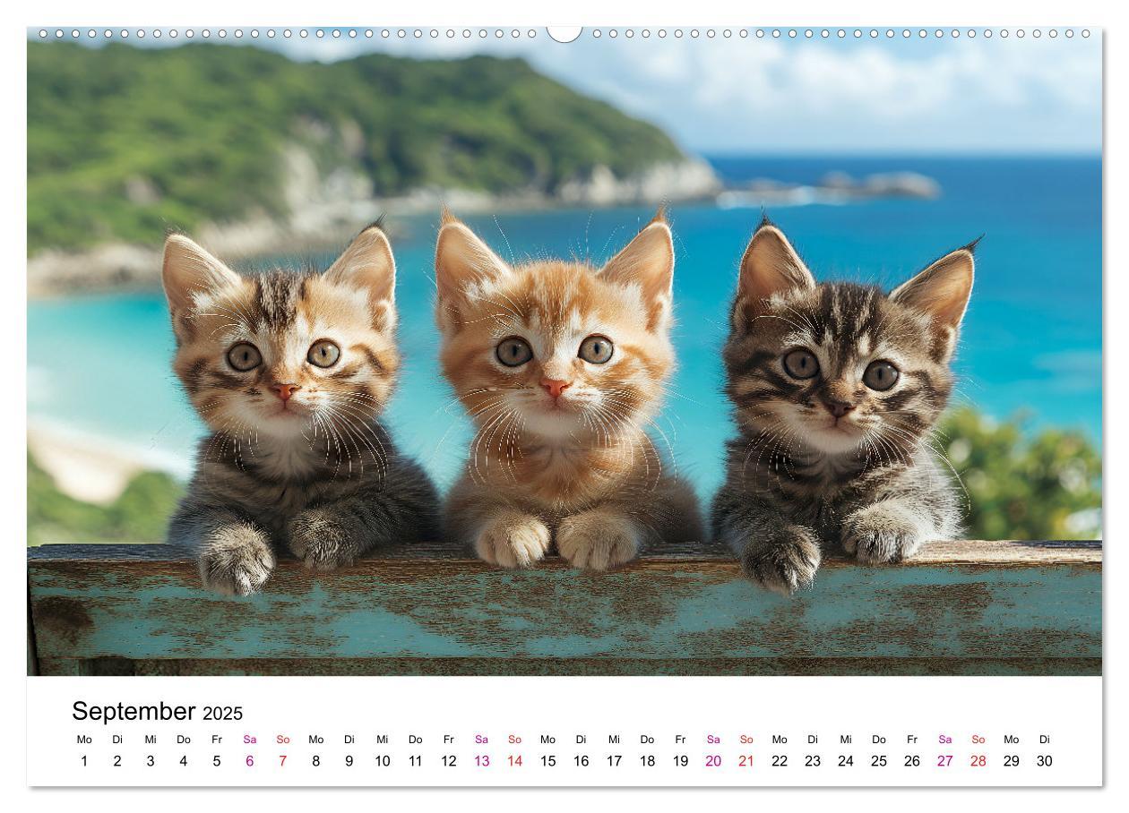 Bild: 9783457218310 | Katzenzauber - Samtpfoten im Jahreslauf (Wandkalender 2025 DIN A2...