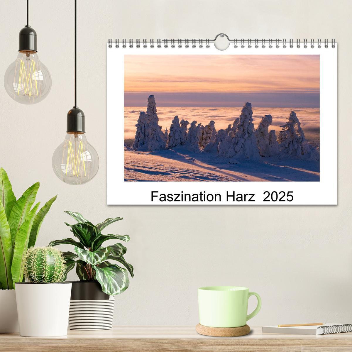 Bild: 9783435629152 | Faszination Harz 2025 (Wandkalender 2025 DIN A4 quer), CALVENDO...