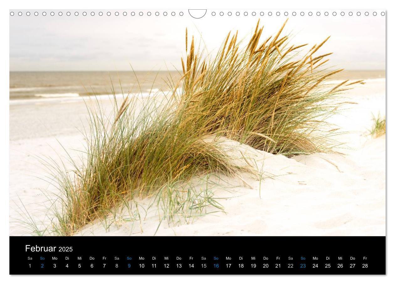 Bild: 9783435475247 | Grüße aus Texel (Wandkalender 2025 DIN A3 quer), CALVENDO...