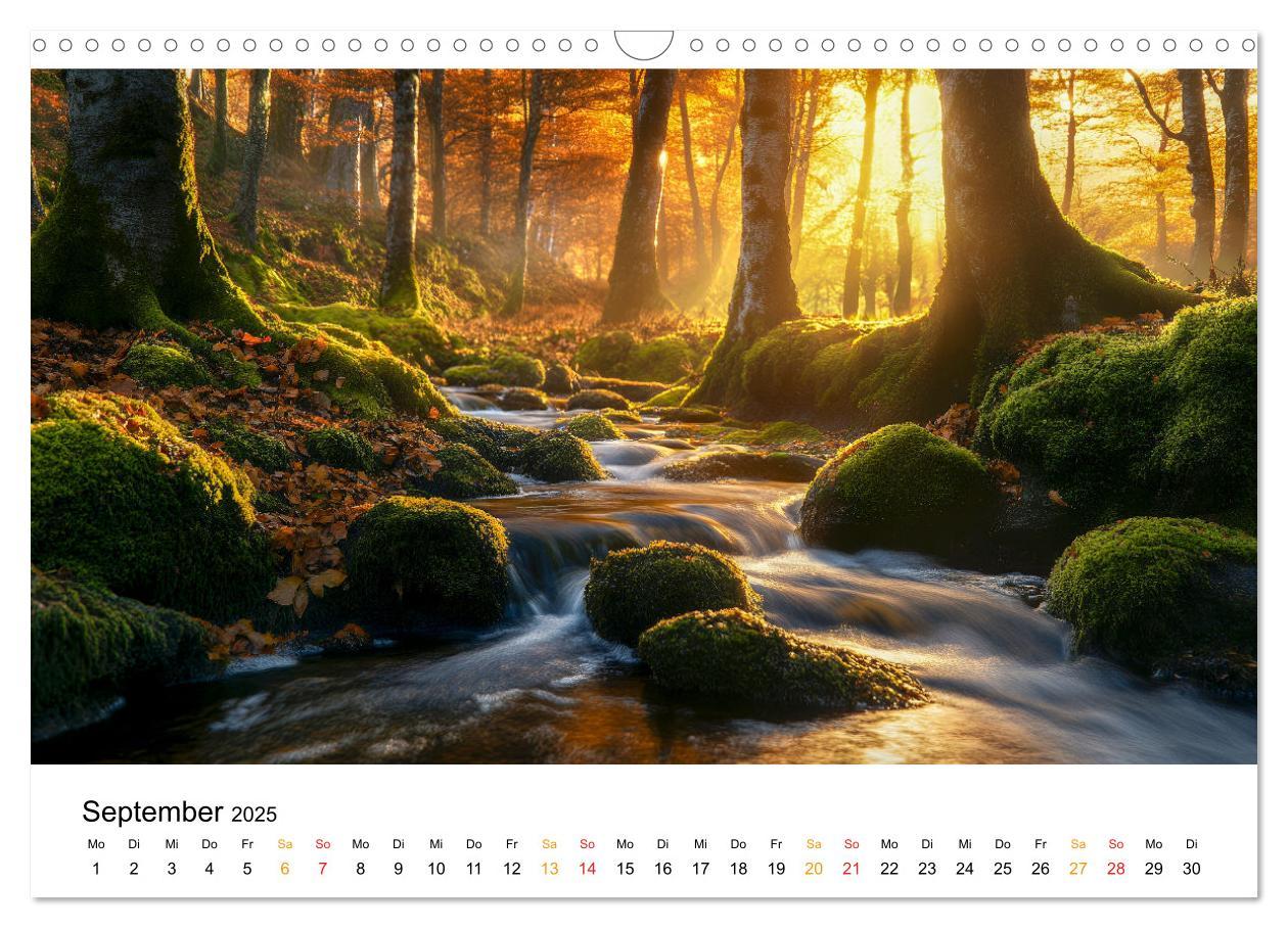 Bild: 9783457224786 | Mystik der Wälder (Wandkalender 2025 DIN A3 quer), CALVENDO...