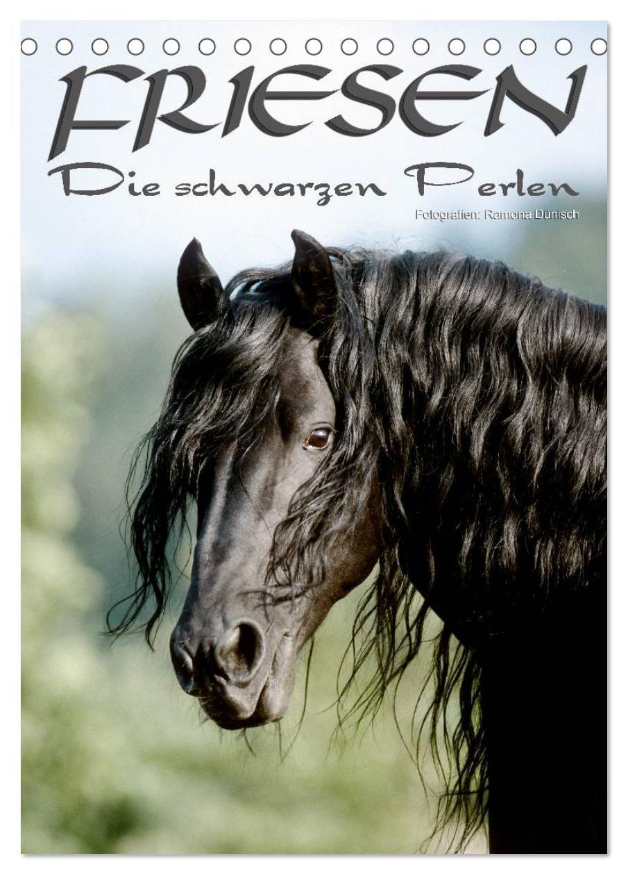 Cover: 9783457041871 | Friesen - die schwarzen Perlen (Tischkalender 2025 DIN A5 hoch),...