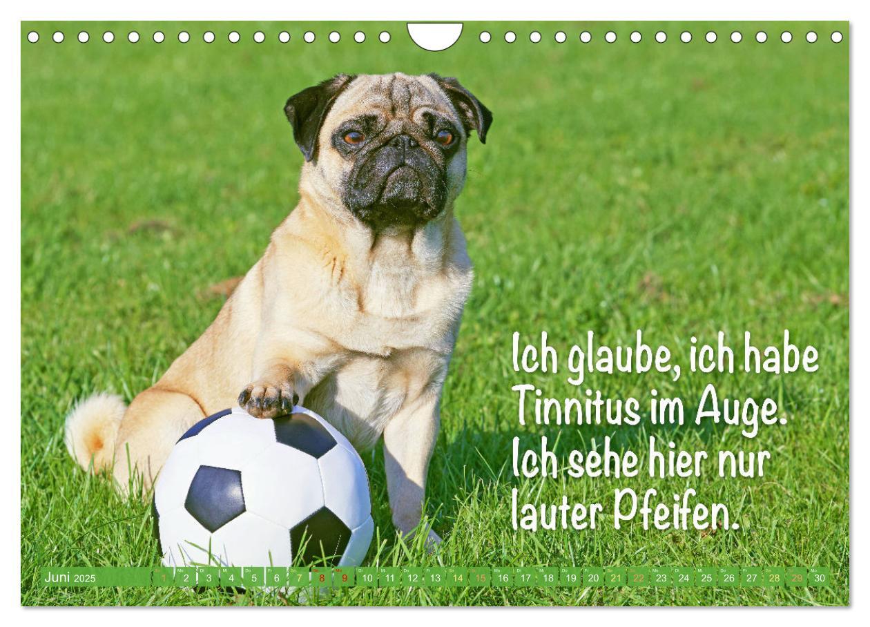 Bild: 9783435061266 | Der Mops: Nicht klein, sondern aufs Wesentliche reduziert. Edition...