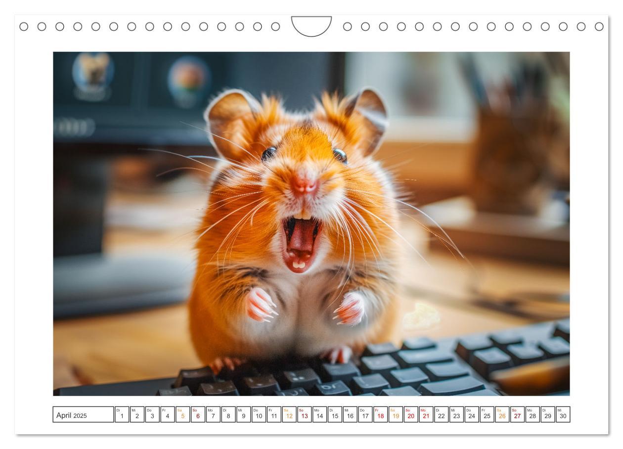 Bild: 9783435069958 | Lustige Hamster (Wandkalender 2025 DIN A4 quer), CALVENDO...