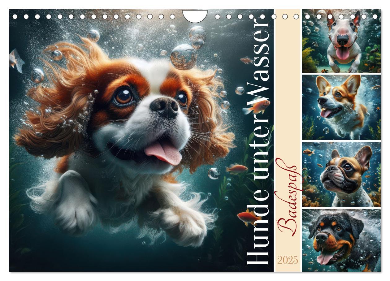 Cover: 9783457150429 | Badespaß - Hunde unter Wasser (Wandkalender 2025 DIN A4 quer),...