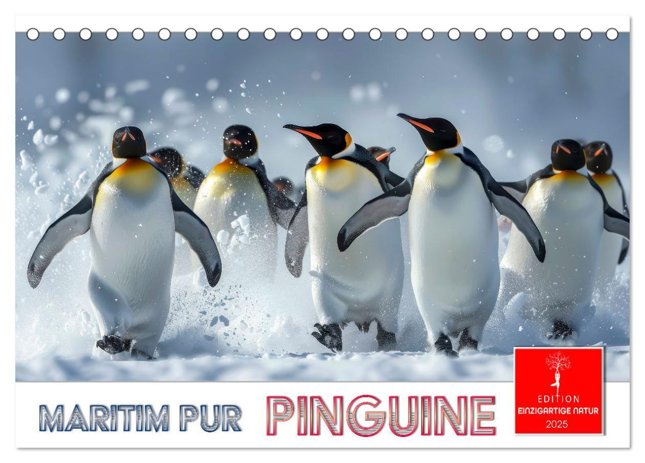 Cover: 9783457164471 | Maritim pur - Pinguine (Tischkalender 2025 DIN A5 quer), CALVENDO...