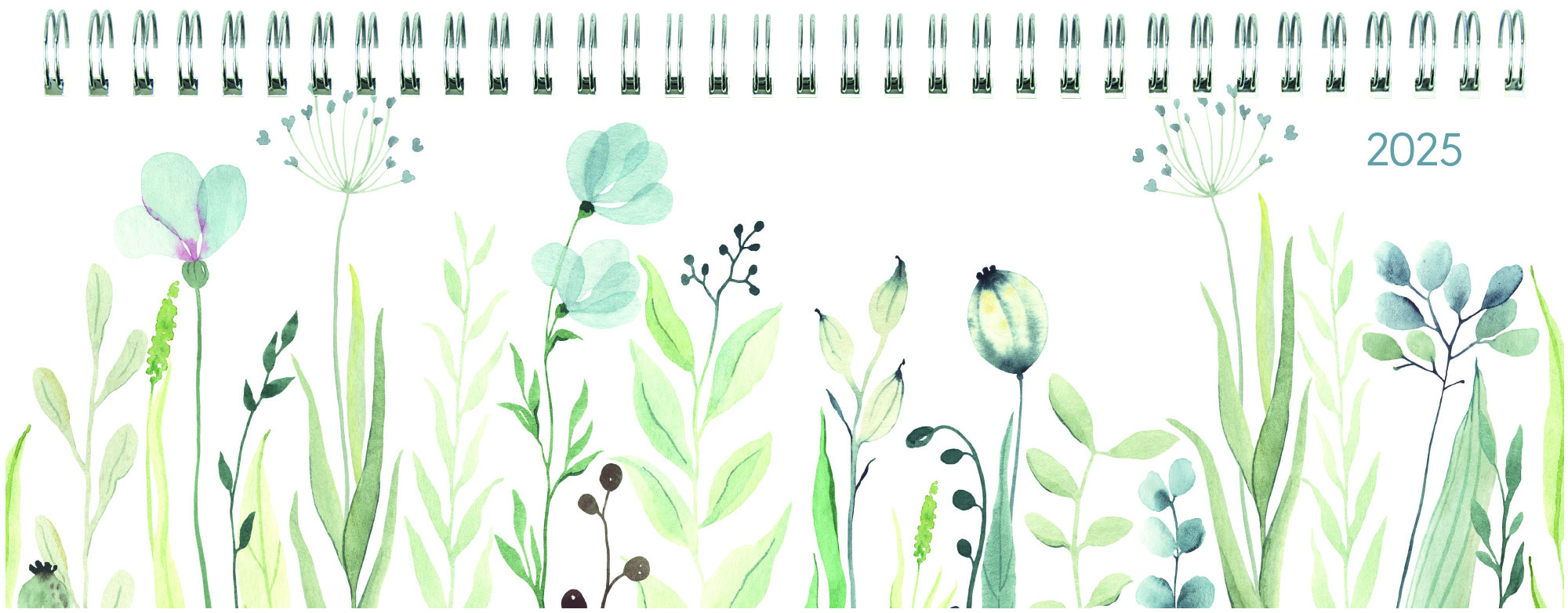 Cover: 4006928024506 | Zettler - Tisch-Querkalender Style 2025 Wildblumen, 29,7x10,5cm,...