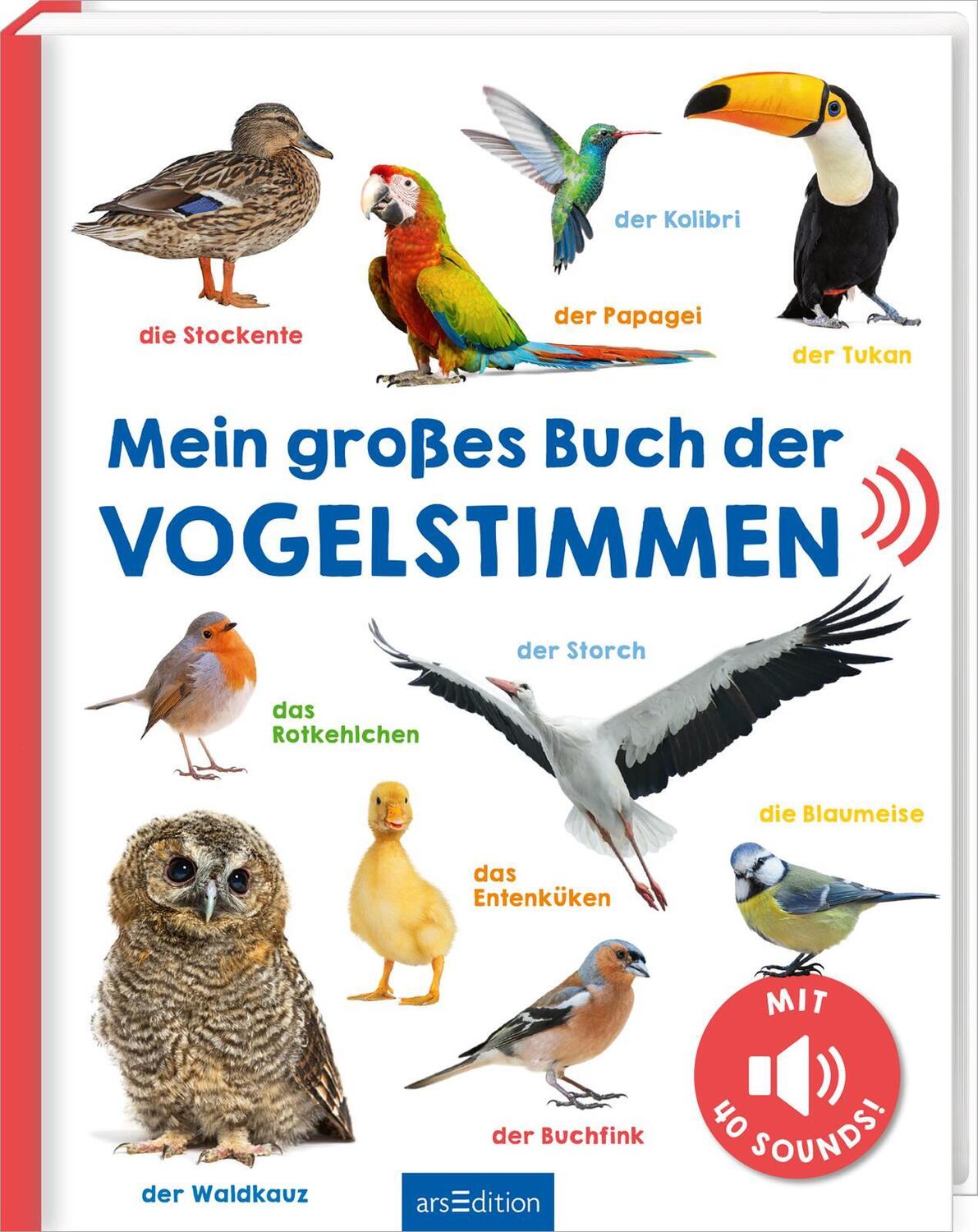 Cover: 9783845855325 | Mein großes Buch der Vogelstimmen | Mit 40 Sounds | Buch | 16 S.