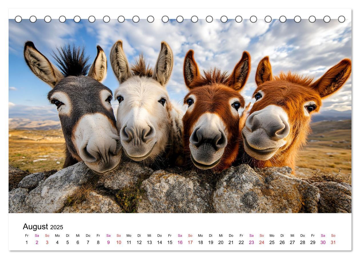 Bild: 9783457215357 | Esel - neugierige Typen (Tischkalender 2025 DIN A5 quer), CALVENDO...