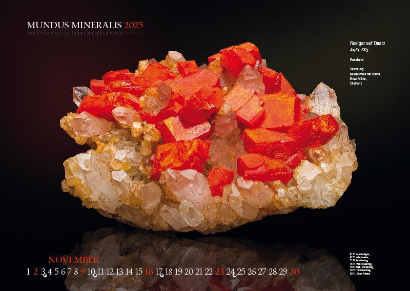 Bild: 9783957561398 | MUNDUS MINERALIS 2025 | Die Welt der Mineralien | Jörg Neubert | 2025