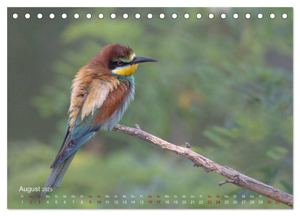 Bild: 9783435081769 | Moments in Nature (Tischkalender 2025 DIN A5 quer), CALVENDO...