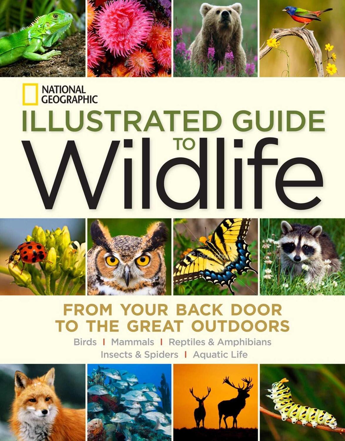 Cover: 9781426213724 | National Geographic Illustrated Guide to Wildlife: From Your Back...