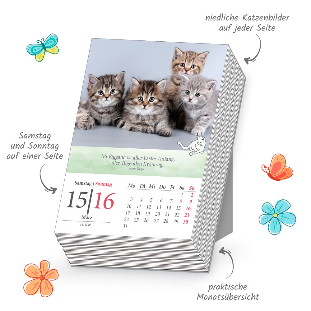 Bild: 9783988021700 | Trötsch Abreißkalender Katzen 2025 | Trötsch Verlag GmbH &amp;amp (u. a.)