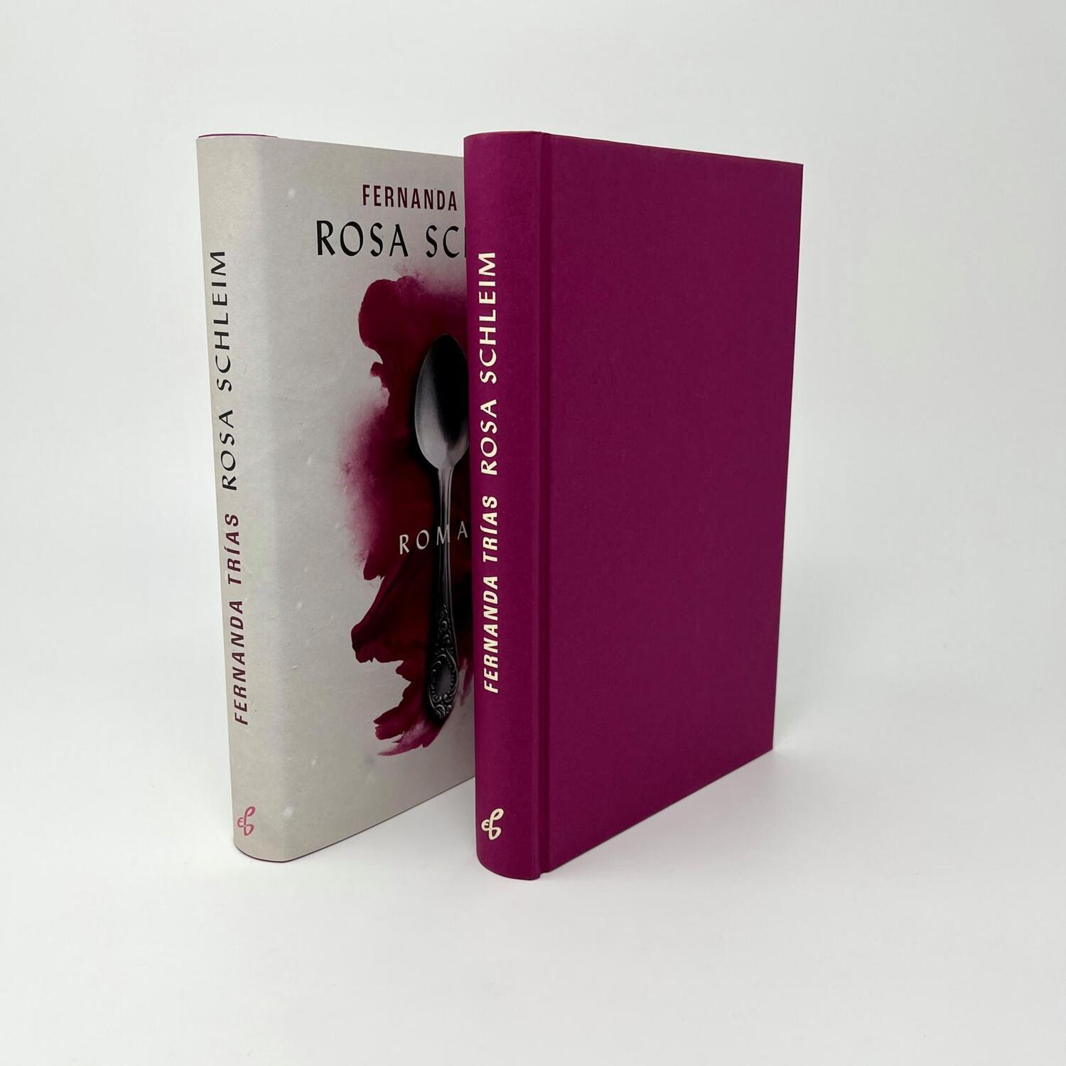 Bild: 9783546100670 | Rosa Schleim | Roman Preisgekrönte Literatur aus Südamerika | Trías