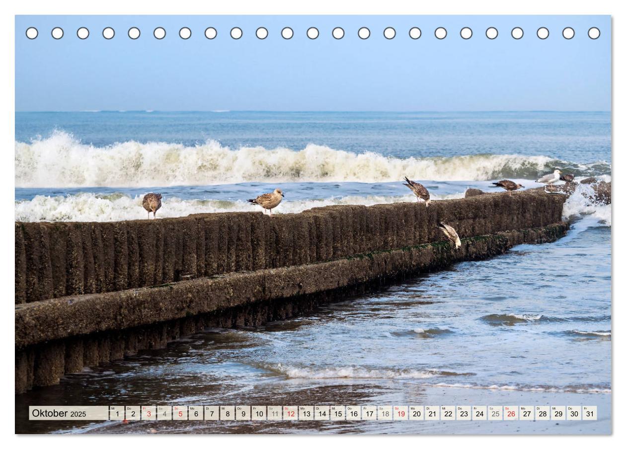 Bild: 9783435258376 | NORDERNEY Bezaubernde Nordseeinsel (Tischkalender 2025 DIN A5...