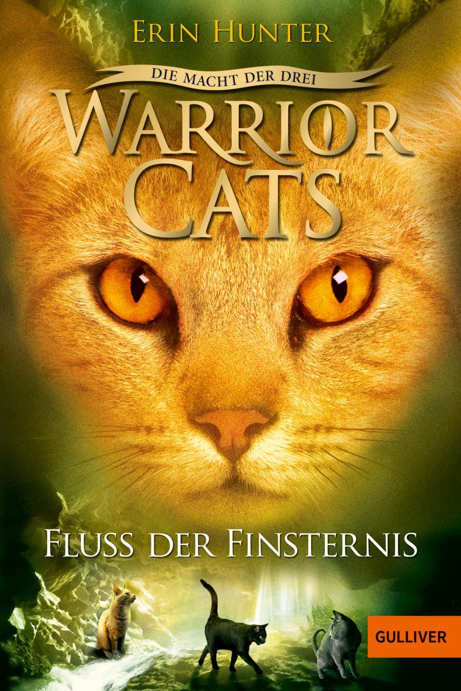 Cover: 9783407746672 | Warrior Cats Staffel 3/02. Die Macht der Drei. Fluss der Finsternis