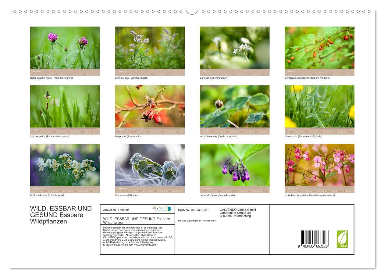 Bild: 9783435662128 | WILD, ESSBAR UND GESUND Essbare Wildpflanzen (Wandkalender 2025 DIN...