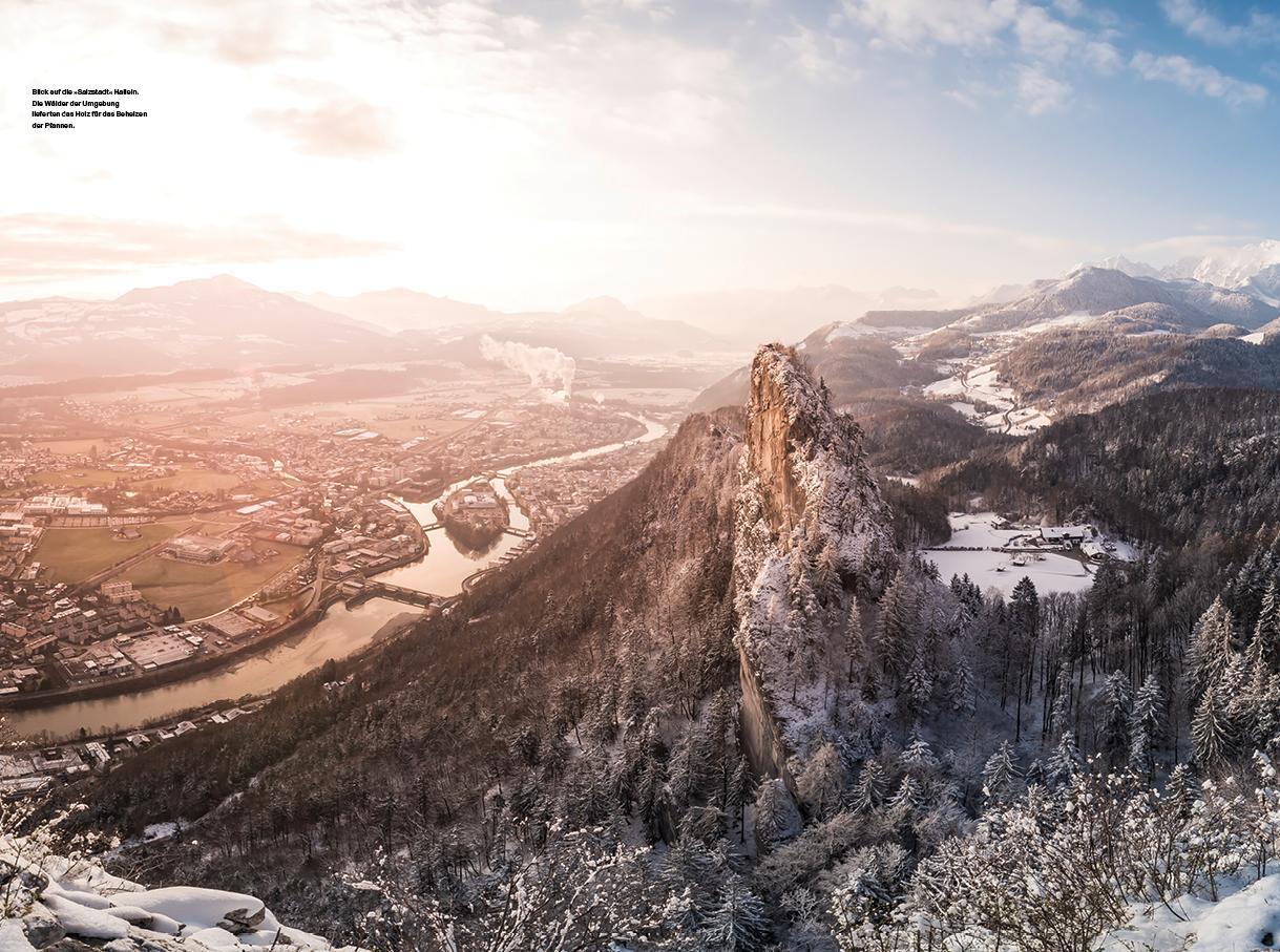 Bild: 9783710901416 | Der Alpenwald | Eine Natur- und Kulturbeschreibung aus 20 Perspektiven