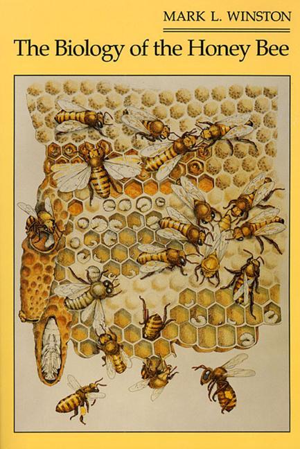 Cover: 9780674074095 | The Biology of the Honey Bee | Mark L Winston | Taschenbuch | Englisch