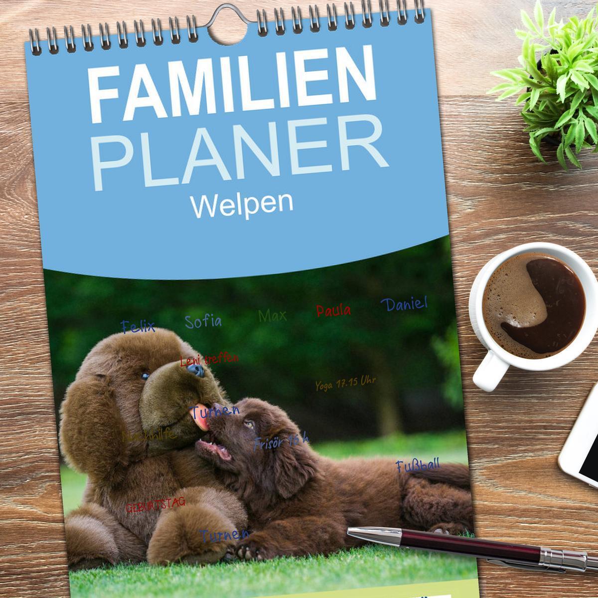 Bild: 9783457119259 | Familienplaner 2025 - Welpen 2025 mit 5 Spalten (Wandkalender, 21 x...