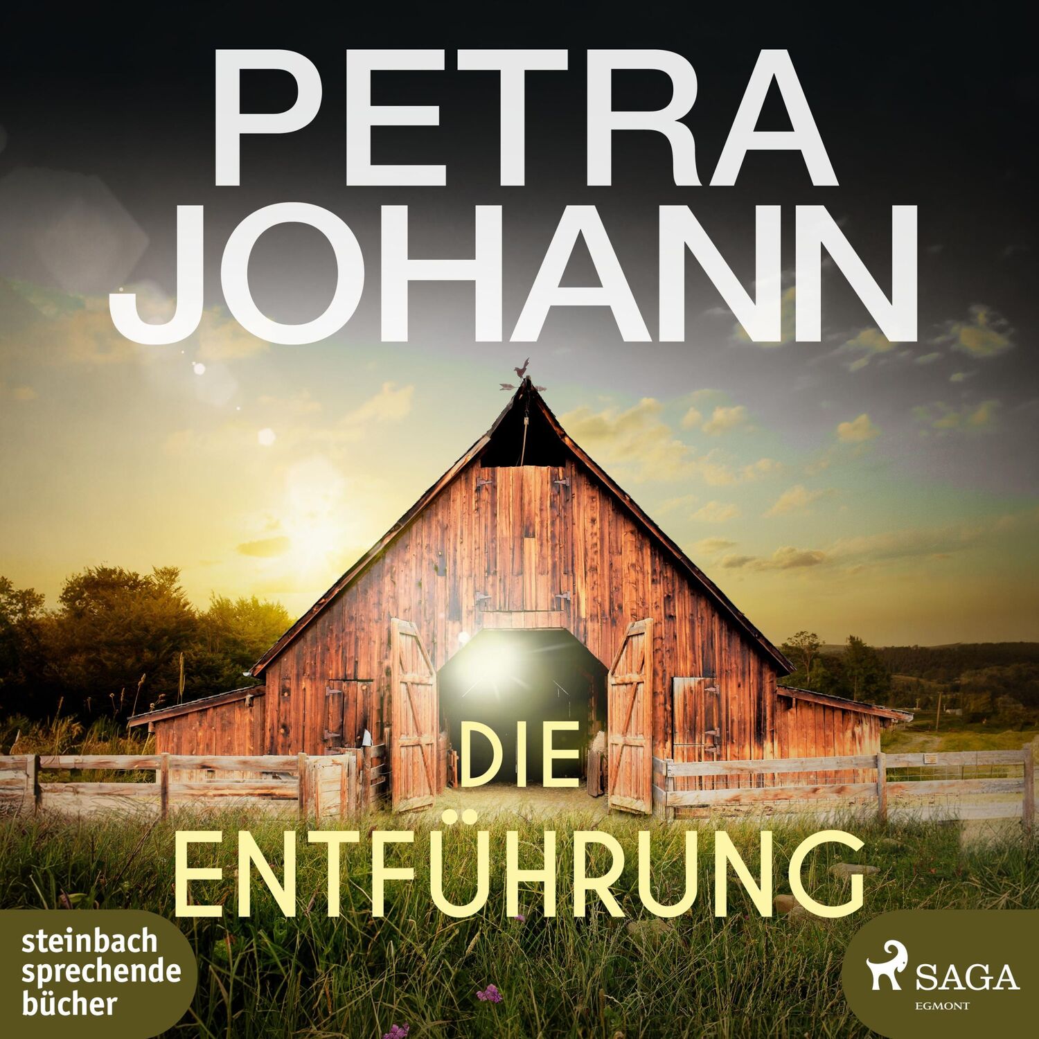 Cover: 9783987360732 | Die Entführung | Petra Johann | MP3 | 325 S. | Deutsch | 2024