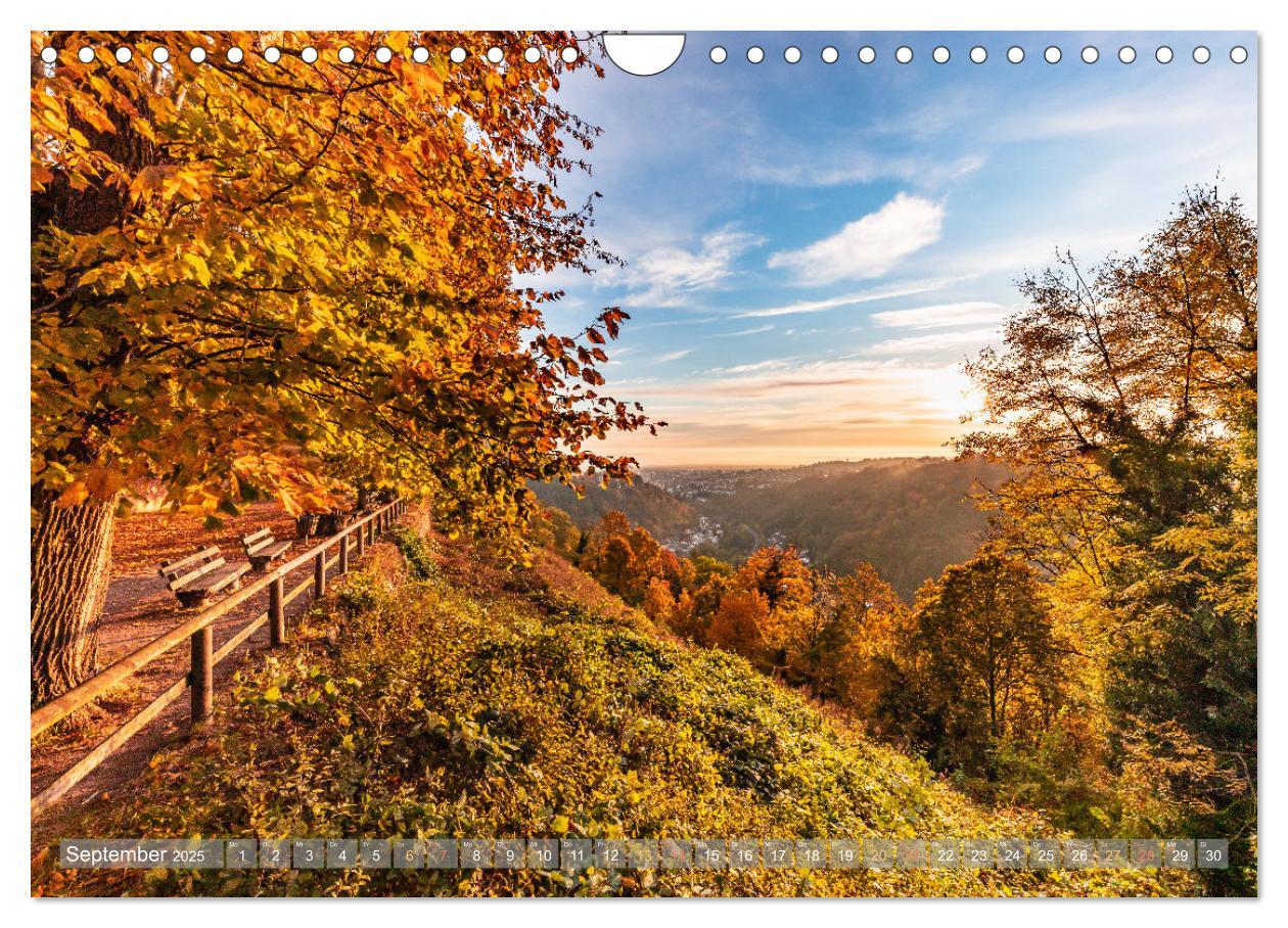 Bild: 9783383940200 | Naturparadies Pfälzerwald (Wandkalender 2025 DIN A4 quer), CALVENDO...