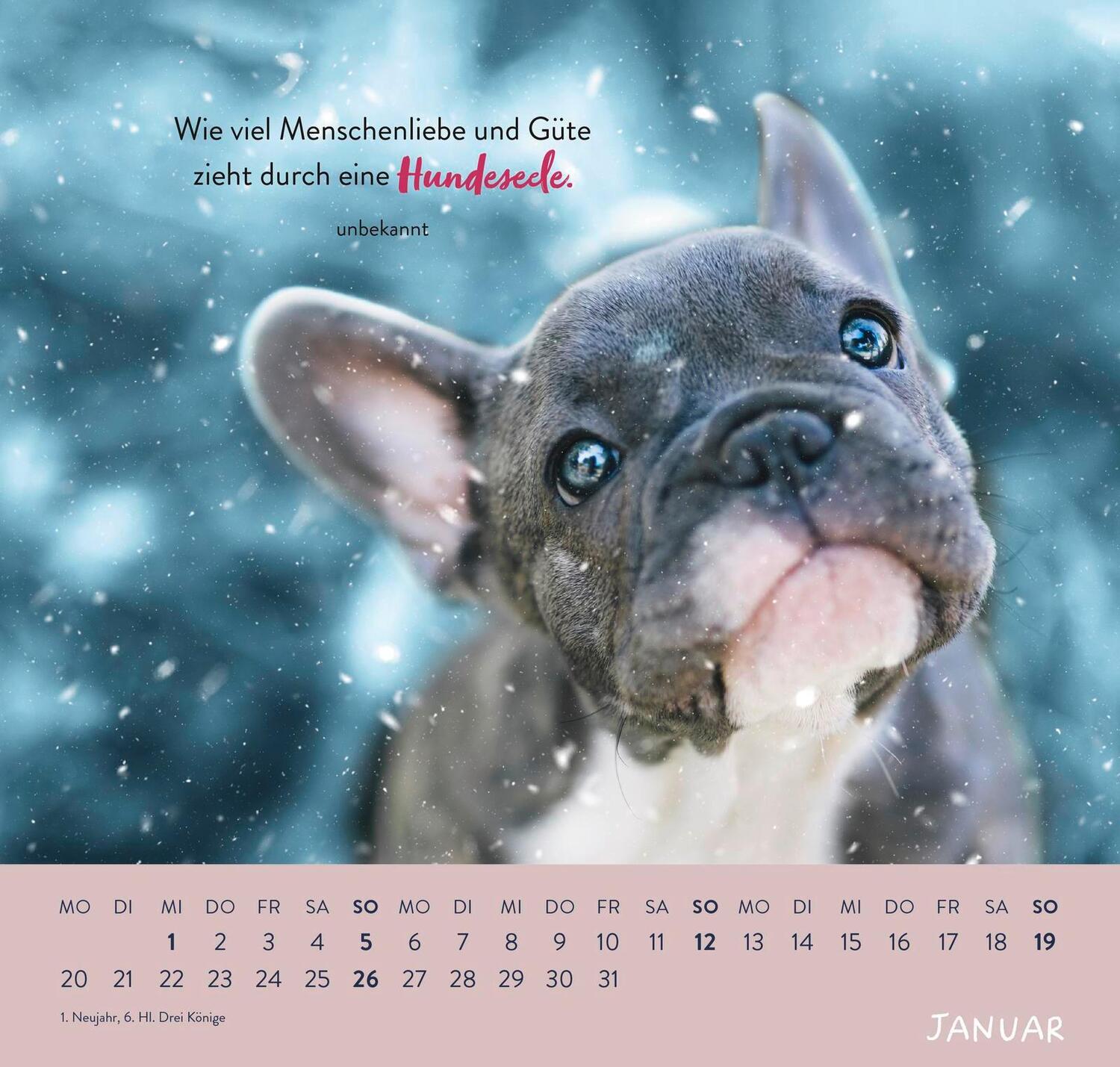 Bild: 4036442011867 | Wandkalender 2025: Für Hundefreunde | Groh Verlag | Kalender | 12 S.