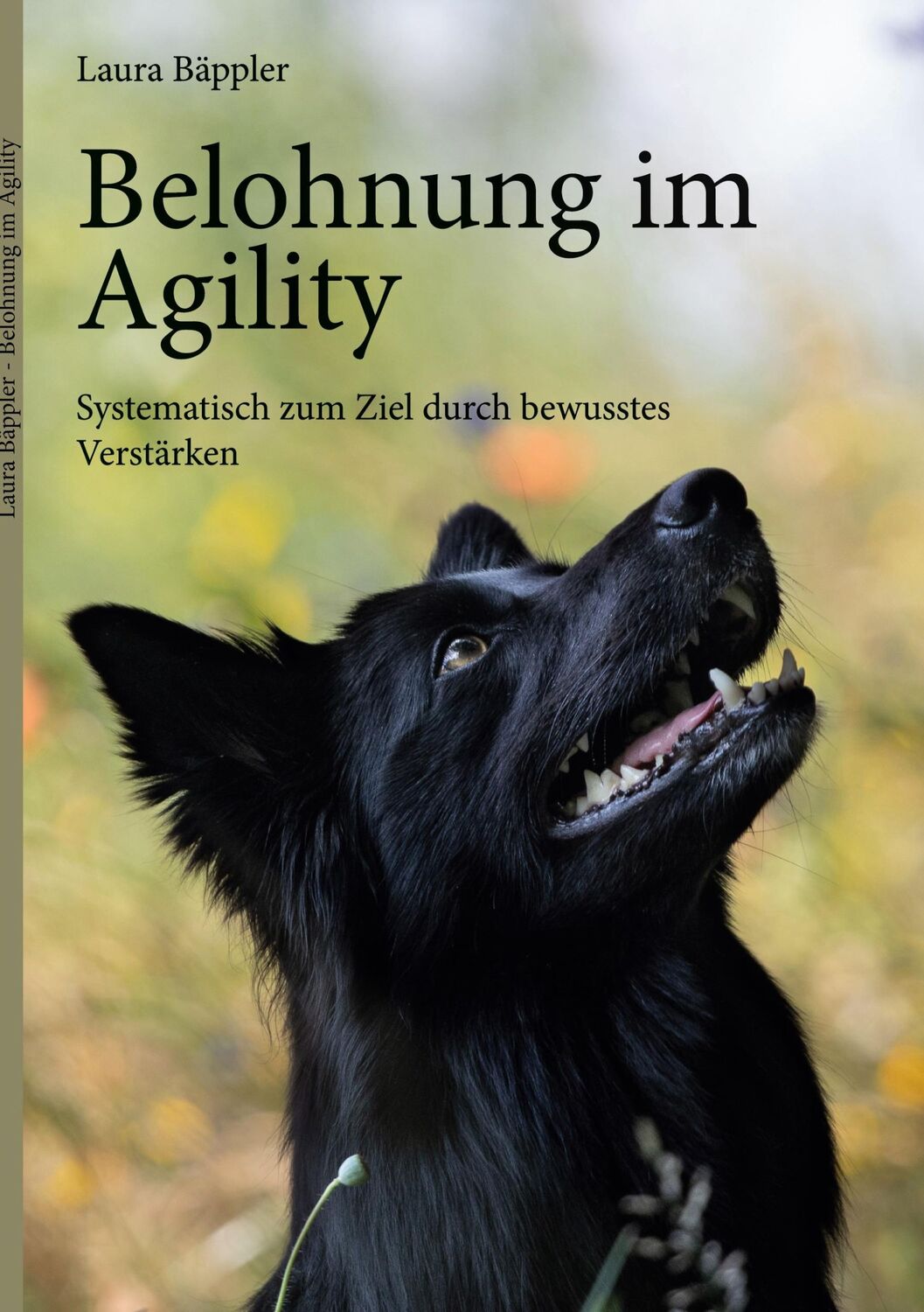 Cover: 9783755737919 | Belohnung im Agility | Laura Bäppler | Taschenbuch | Paperback | 42 S.