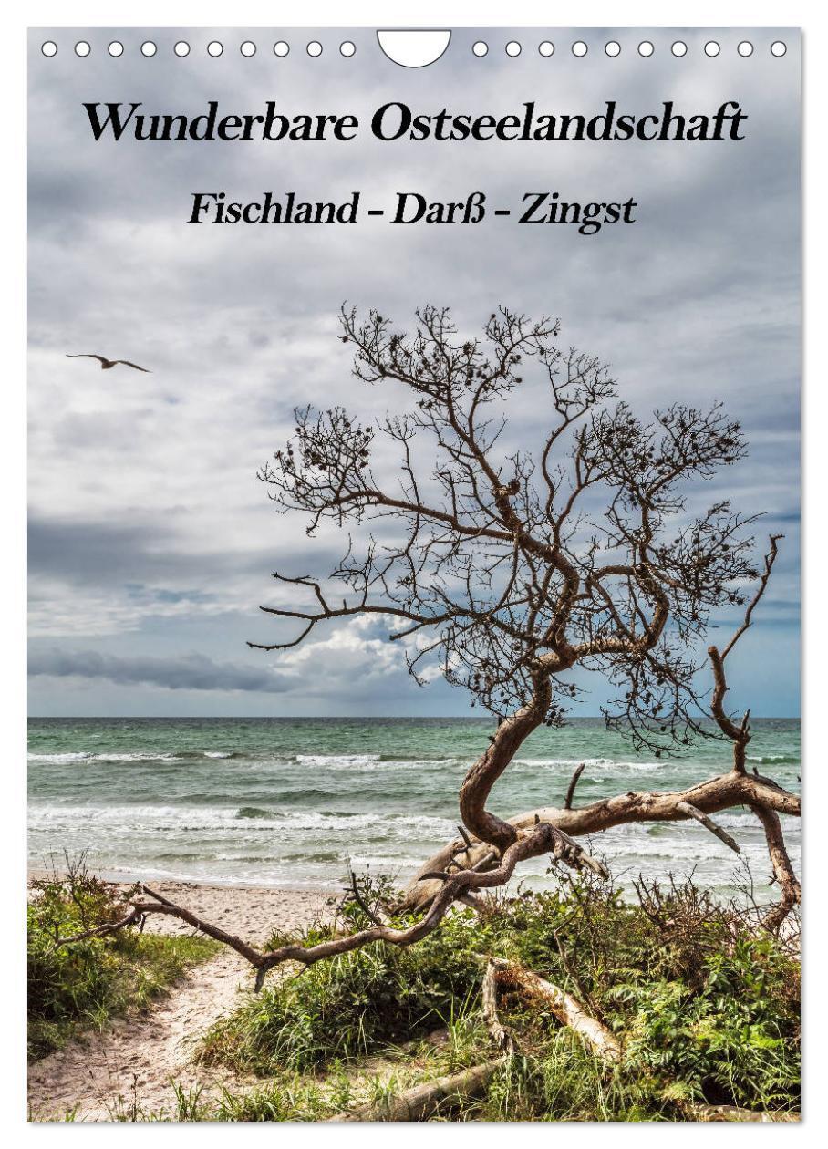 Cover: 9783435956654 | Wunderbare Ostseelandschaft Fischland-Darß-Zingst (Wandkalender...