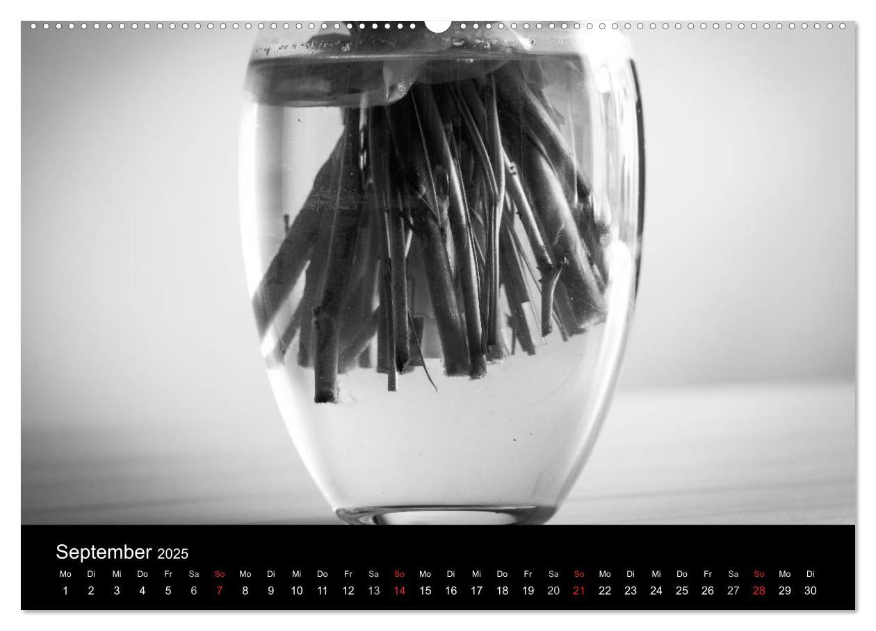 Bild: 9783435567225 | Monochrom 2025 (Wandkalender 2025 DIN A2 quer), CALVENDO...