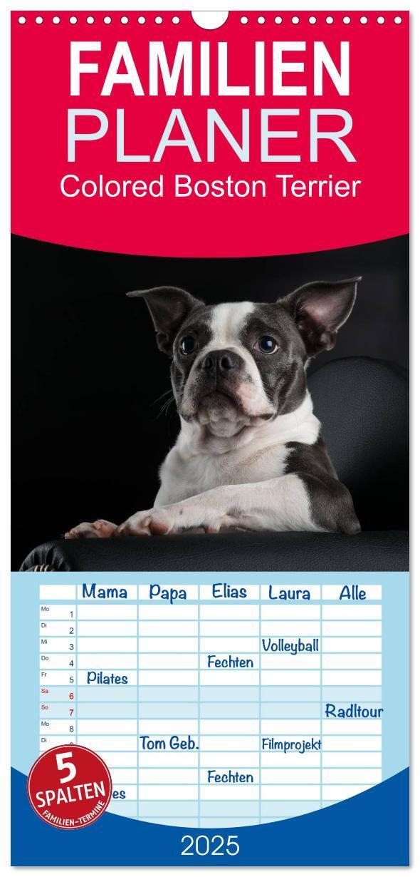 Cover: 9783457104880 | Familienplaner 2025 - Colored Boston Terrier 2025 mit 5 Spalten...