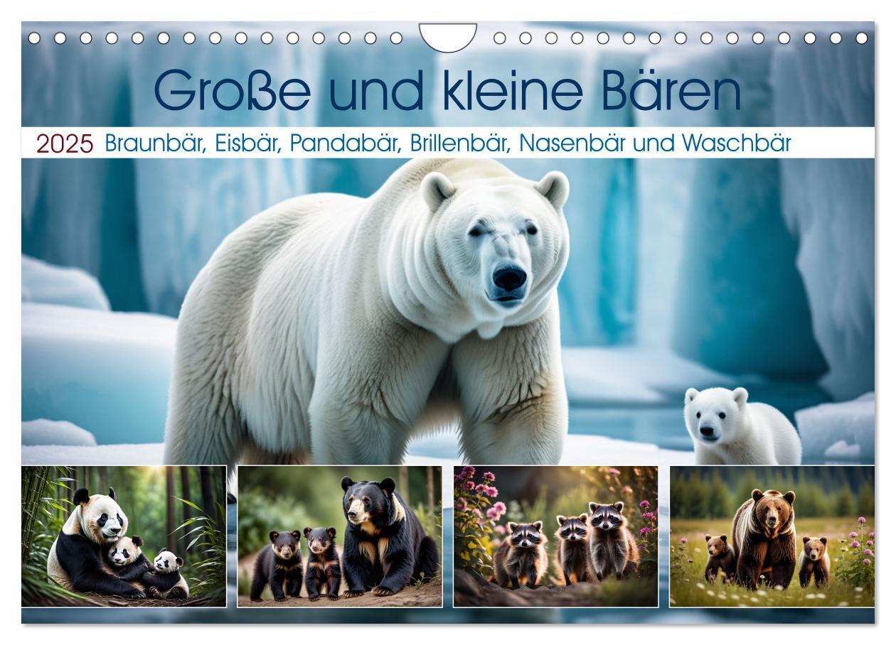 Cover: 9783457166703 | Große und kleine Bären (Wandkalender 2025 DIN A4 quer), CALVENDO...