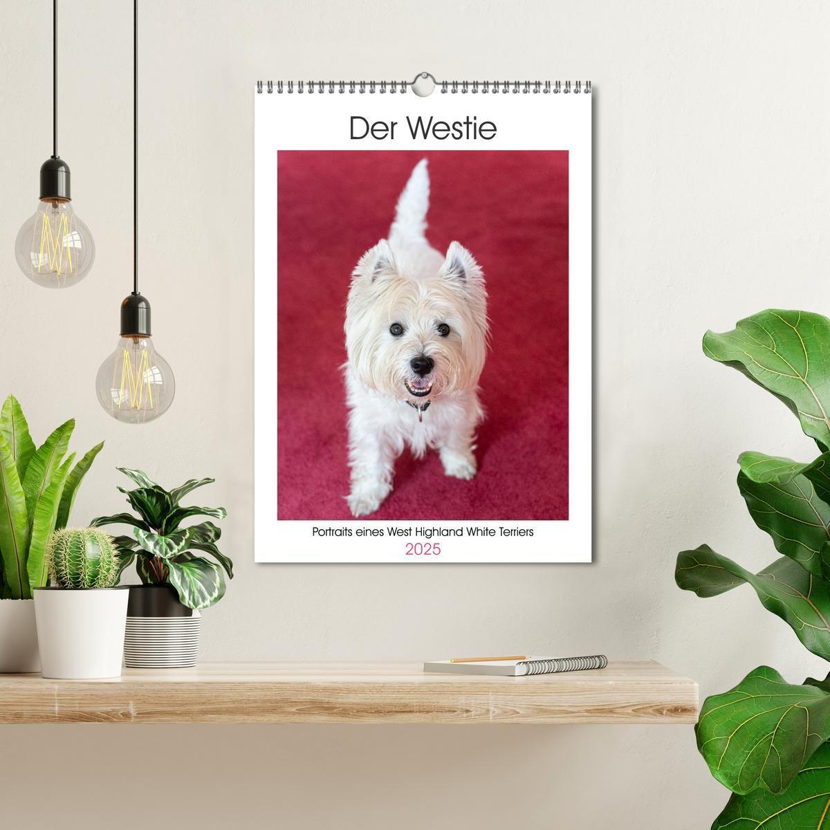 Bild: 9783383796739 | Der Westie - Portrait eines West Highland White Terriers...