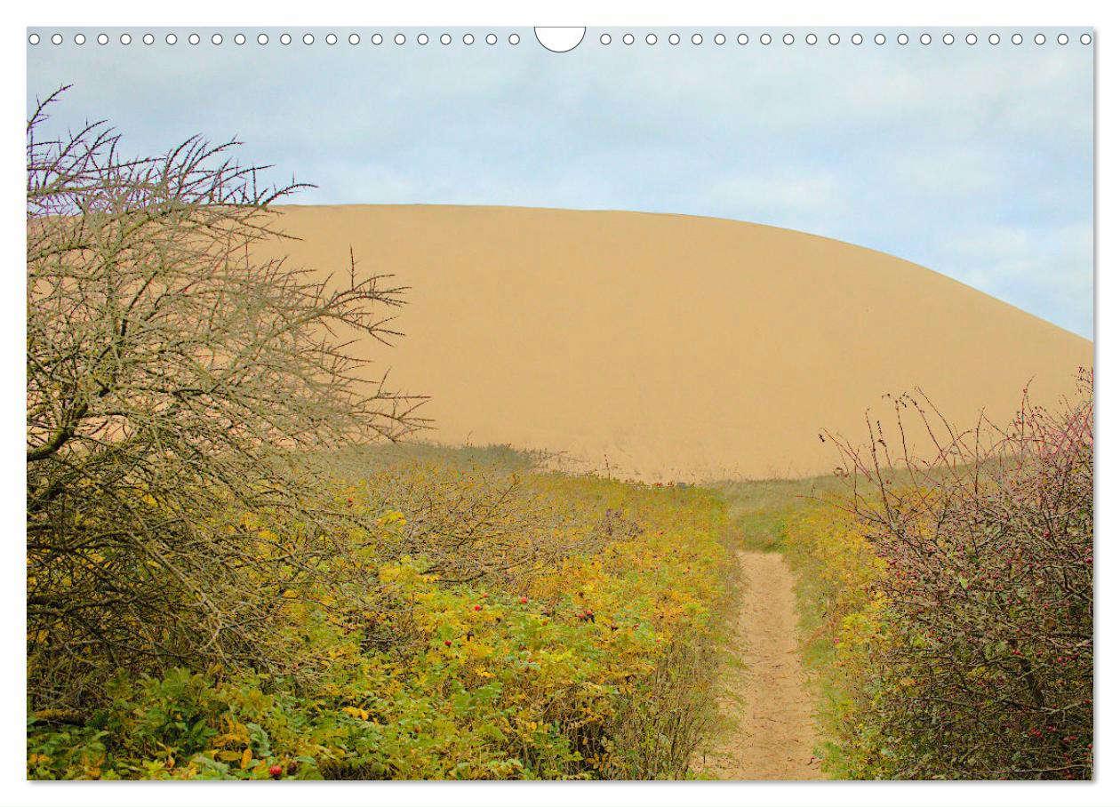 Bild: 9783383786402 | Wanderdüne Rubjerg Knude - ein Wahrzeichen im Land des Lichts...