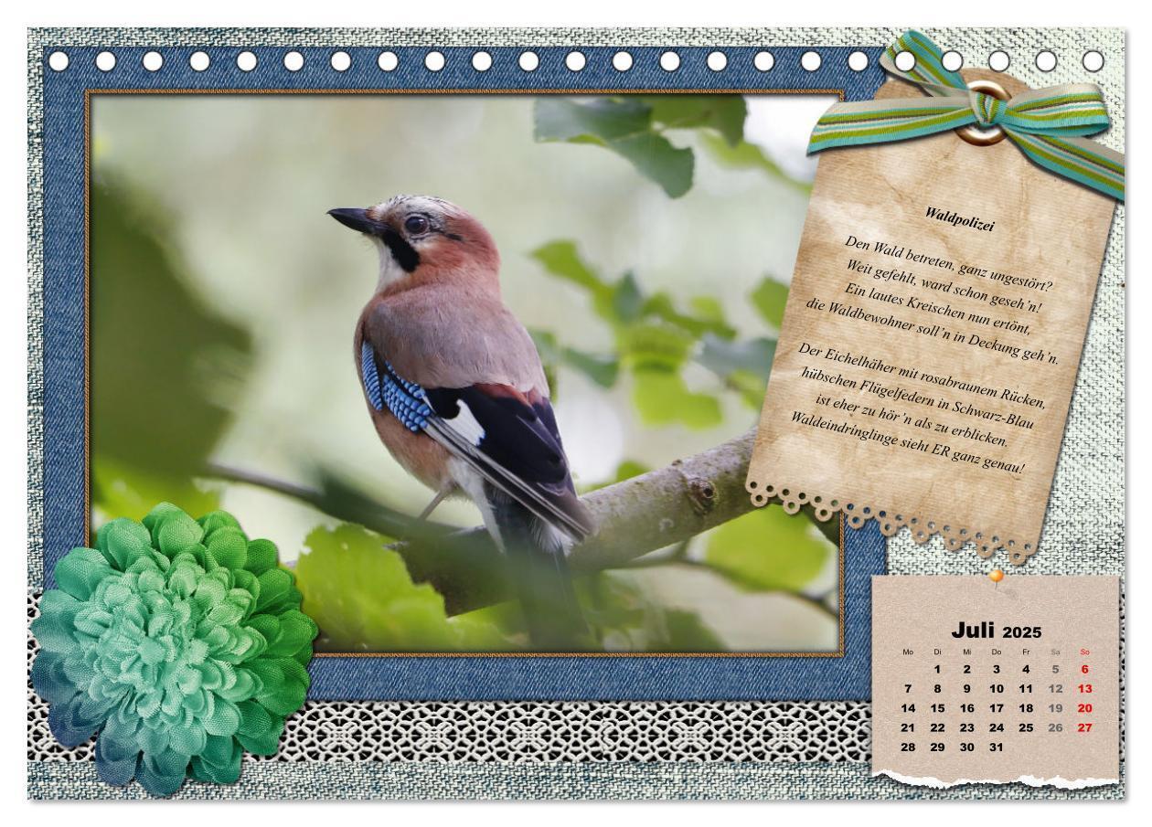 Bild: 9783435081905 | Der poetische Vogelkalender (Tischkalender 2025 DIN A5 quer),...