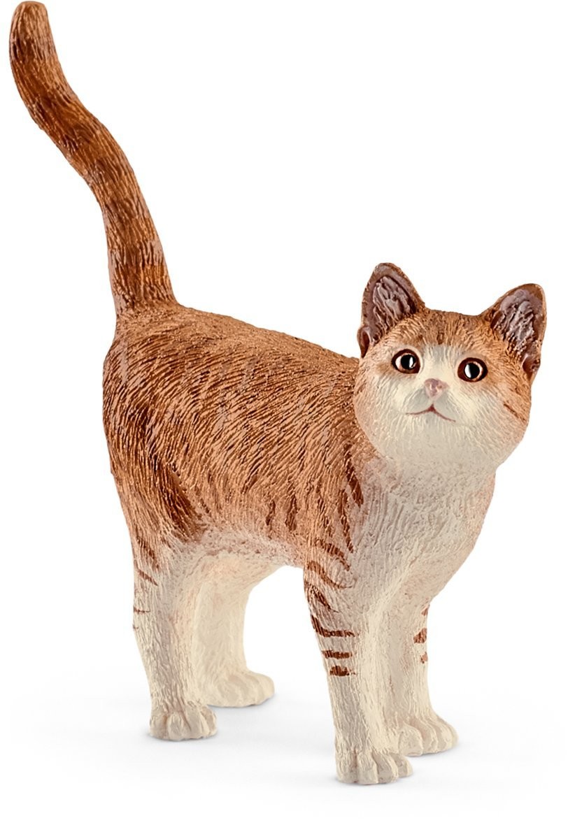 Cover: 4055744012570 | Schleich Katze | Schleich® | Schleich | 13836/5 | Deutsch | 2017