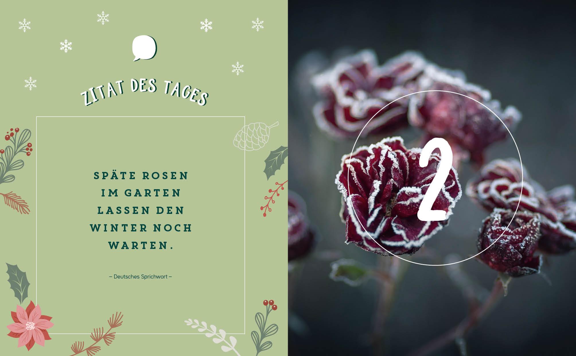 Bild: 9783745912685 | Mein Adventskalender-Buch: Gartenliebe | Buch | 112 S. | Deutsch